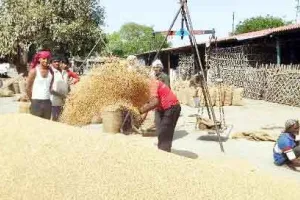 सरकार का बड़ा फैसला, गेहूं की एमएसपी 50 रुपए प्रति क्विंटल बढ़ी