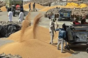 खेमका का अनाज की खरीद आढ़़तियों के माध्यम से होने पर सवाल उठाना उचित नहीं : गर्ग