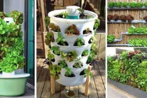 Kitchen Gardening in Hindi: किचन गार्डनिंग अपनाएं, ताजा सब्जियां खाएं