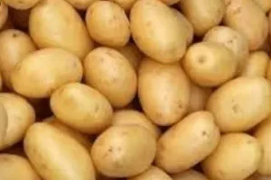 दस लाख टन आलू का आयात होगा