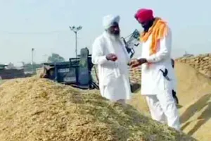 पंजाब में धान की सरकारी खरीद 142 लाख टन के पार