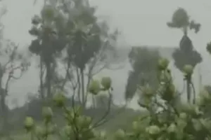 चक्रवाती तूफान निवार का पुड्डुचेरी में कहर