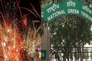 एनजीटी ने दिल्ली-एनसीआर में पटाखे जलाने पर लगाया प्रतिबंध