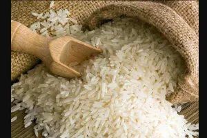 जैविक बासमती चावल के निर्यात को दिया जाएगा प्रोत्साहन