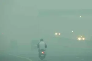 पंजाब-हरियाणा में शीत लहर