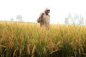 भरया रहवै भंडार