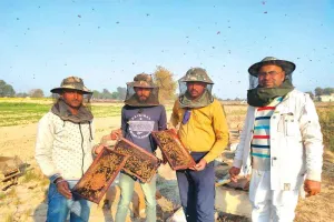 मधुमक्खी पालन शुरू कर राज कुमार कमा रहा 14 लाख सालाना