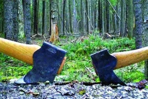 उजड़ते जंगलों की व्यथा कौन सुनेगा?
