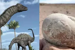 अर्जेंटीना में मिले डायनासोर के 100 अंडे