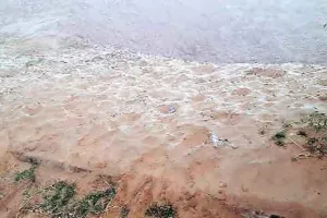 अंचल में कड़ाके की ठंड का दौर पारा जमाव बिंदु पर पहुंचा