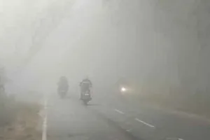 मौसम ने ली करवट, बढ़ी ठंड, दिनभर नहीं हुए सूर्य के दर्शन