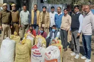 झज्जर में 30 लाख के गांजे सहित तीन आरोपी गिरफ्तार