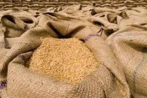 यूक्रेन संकट के बीच भारत से गेहूं निर्यात बढ़ाने की योजना