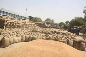 गेहूं की सुचारू खरीद के लिए जिला में बनाए 14 अतिरिक्त खरीद केंद्र