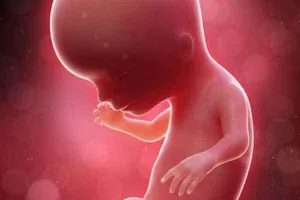 पानीपत में झाड़ियों में मिला भ्रूण, केस दर्ज