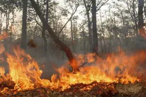 जम्मू: माता वैष्णो देवी की त्रिकुटा पहाड़ियों में लगी आग