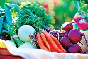 किचन गार्डन अपनाएं, ताजा सब्जियां खाएं