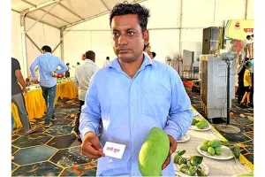 फलों के राजा चौसा लंगड़ा आम का स्वाद विदेशों में भी चख रहें है लाखों लोग