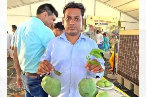 देश के सबसे अच्छी किस्म के आम तैयार कर रहा सब ट्रॉपिकल फ्रूट सेंटर