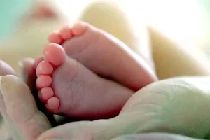 अस्पताल से उठाकर आवारा कुत्ते ने छीन ली नवजात की जिंदगी