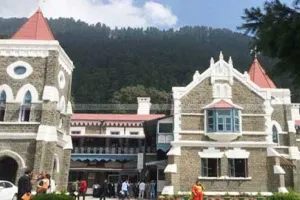 आवारा कुत्तों ने बढ़ाई सरकार की परेशानी, हाईकोर्ट ने मांगी विस्तृत रिपोर्ट