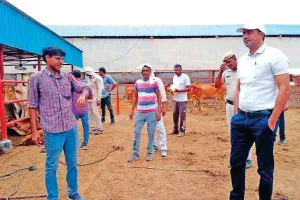 लम्पी स्किन से प्रभावित पशु को नीम से उबले गुनगुने पानी से नहलाएं