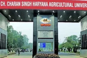 जई की दो उन्नत किस्मों से पशुपालकों को होगा लाभ