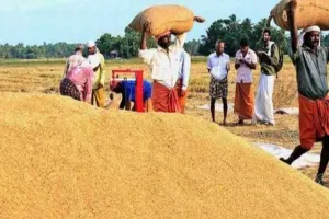 एक अक्तूबर से शुरू होगी खरीफ फसलों की खरीद