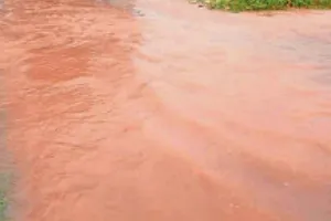 यमुना के बाद अब मारकंडा में बढ़ा जलस्तर