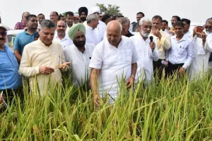 गुरुकुल पैटर्न पर मथुरा व बुंदेलखंड में बनेंगे प्राकृतिक खेती के मॉडल