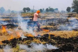 एक तरफ गुठलियों के भी दाम, दूसरी तरफ जेब से चट्टी