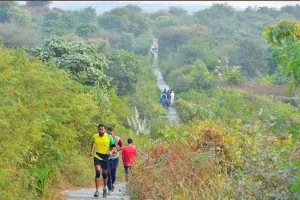 जंगल सफारी में गुरुग्राम का 6 हजार एकड़ रकबा होगा शामिल