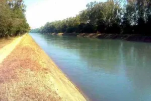 एसवाईएल पर पंजाब के हितों से समझौता करने के लिए केजरीवाल के दबाव में मुख्यमंत्री: शिअद