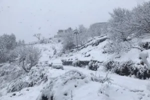 पहाड़ों पर बिछी सफेद चादर, ठंड बढ़ी