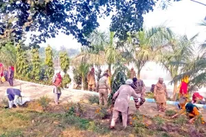 साध-संगत ने लगाए पौधे अब दे रहे फल व छाया