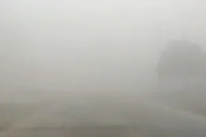  रबी की फसल के लिए फायदेमंद है सर्द मौसम