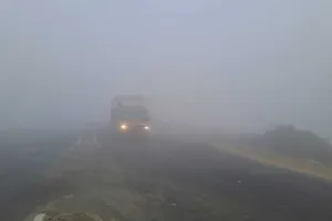 उत्तर भारत में सर्दी का सितम और ठिठुरन, कब तक रहेगा शीतलहर …