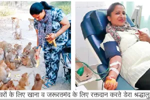 जरूरतमंद लोगों के साथ बेजुबान पशु-पक्षियों की भी देखभाल कर रहे नाभा के डेरा श्रद्धालु