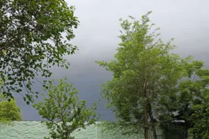 weather :  छाए बादल, हल्की बूंदाबांदी, कड़ाके की ठंड से मिली राहत