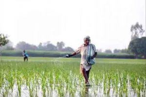 यूरिया की किल्लत से जूझ रहा अन्नदाता