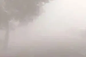 सब्जी की फसल पर मौसम की मार, किसान परेशान