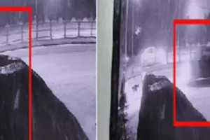 चंडीगढ़ में थार ने युवती को उड़ाया, सड़क किनारे कुत्तों को खाना डाल रही थी…