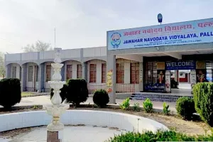 चयन परीक्षा के माध्यम से मिलेगा जवाहर नवोदय विद्यालय पल्लू में छठी कक्षा में प्रवेश