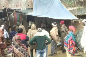 पांच घोड़ियों की मौत के बाद फैली दहशत