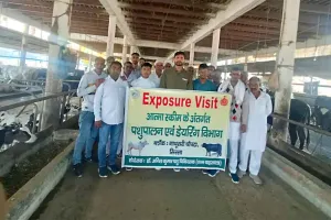 डेरा सच्चा सौदा में आधुनिक डेयरी भ्रमण