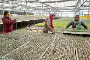 गुरुग्राम : अब इजराइली तकनीक से सब्जियां तैयार करें किसान