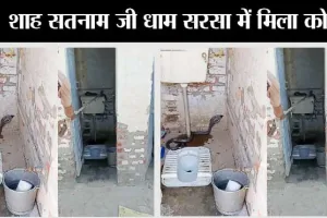 Snake: टॉयलेट जाते वक्त रखे ध्यान! शौचालय में मिला कोबरा, देख छूटे लोगों के पसीने