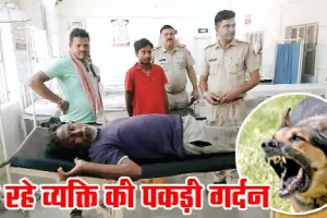 कुत्ते का आतंक, सो रहे अधेड़ की पकड़ी गर्दन, ट्रामा सेंटर में भर्ती