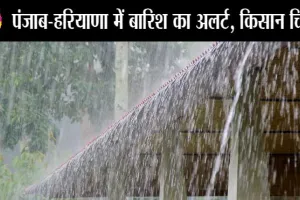 मौसम विभाग ने अगले 4 दिन बारिश-आंधी की दी चेतावनी, जानें हरियाणा, पंजाब  के इन शहरों में आईएमडी का अलर्ट