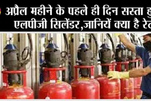 LPG Gas Cylinder Price: सस्ता हुआ एलपीजी सिलेंडर, जानिये क्या है रेट?
